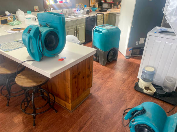 Best Water damage cleanup near me  in Uniontown, OH
