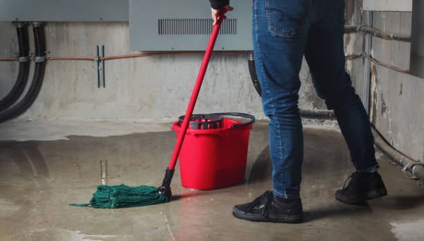 Best Water damage cleanup near me  in Uniontown, OH