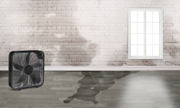 Best Sewage cleanup and water damage restoration  in Uniontown, OH